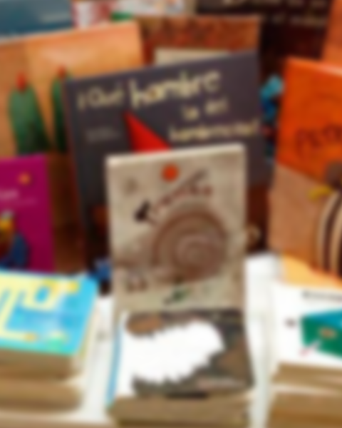 libros y cuentos copycenter