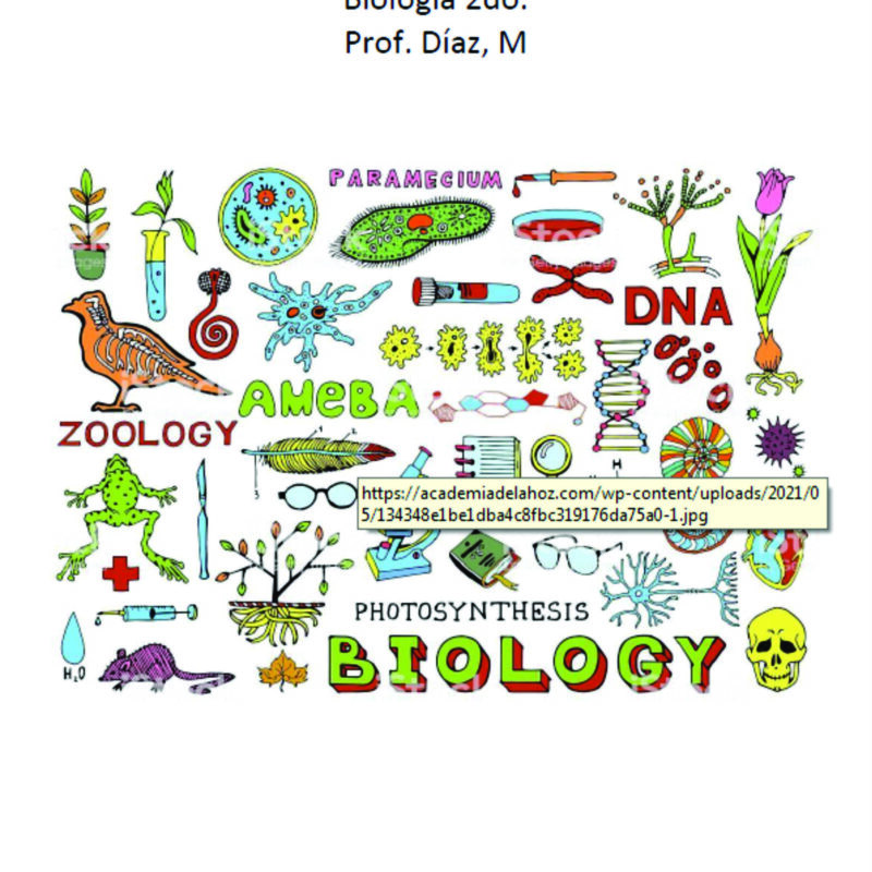 2-BIOLOGIA- COLOR -DIAZ MATIAS