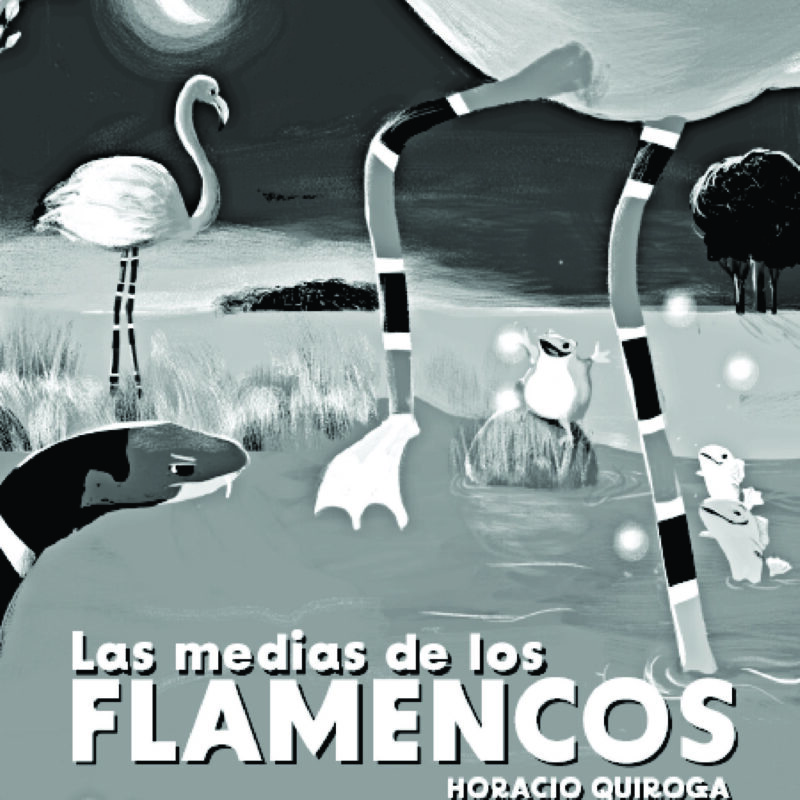 5-PDL-PAOLA ACOSTA las medias de flamenco